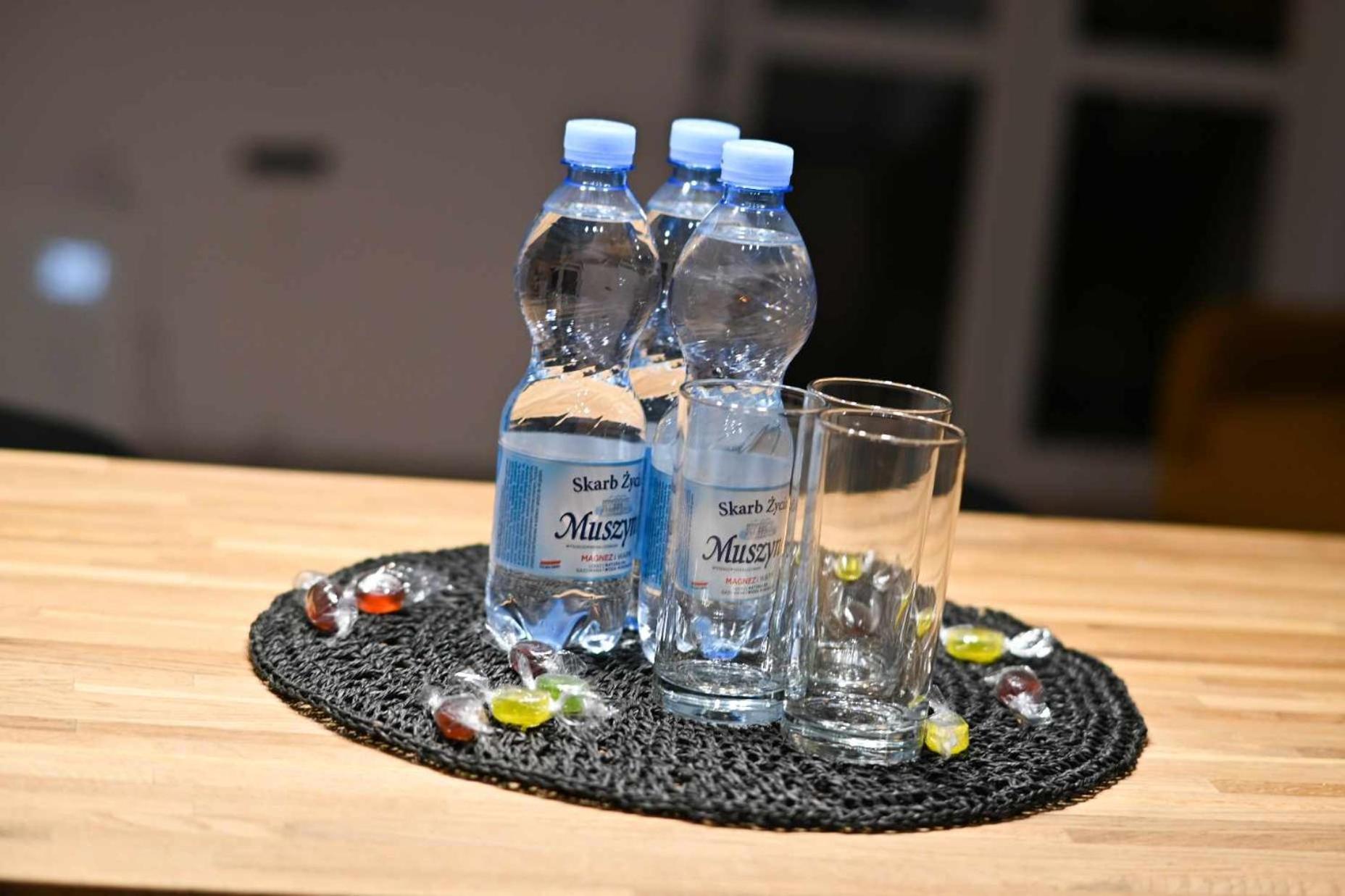 Apartament W Centrum Kalisza Zewnętrze zdjęcie